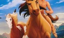 电影小马王在线观看,自由驰骋的青春传奇